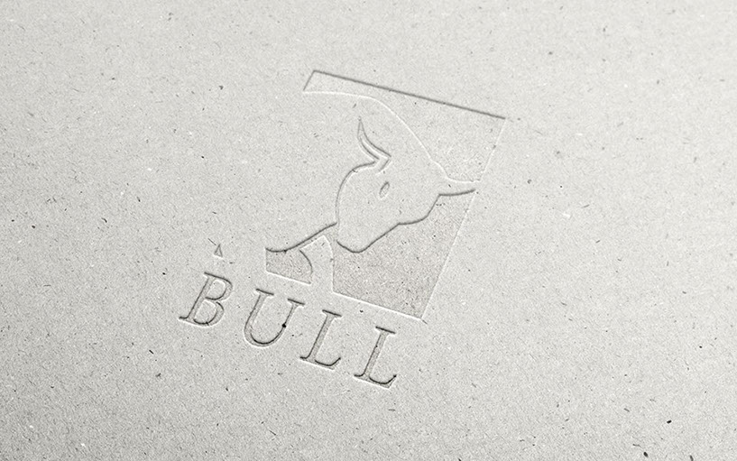 Bull - Finanzdienstleistungen